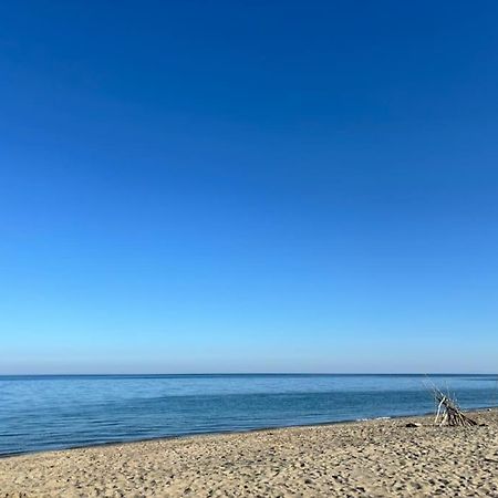 Appartement Bord De Mer Le Barcarès Zewnętrze zdjęcie