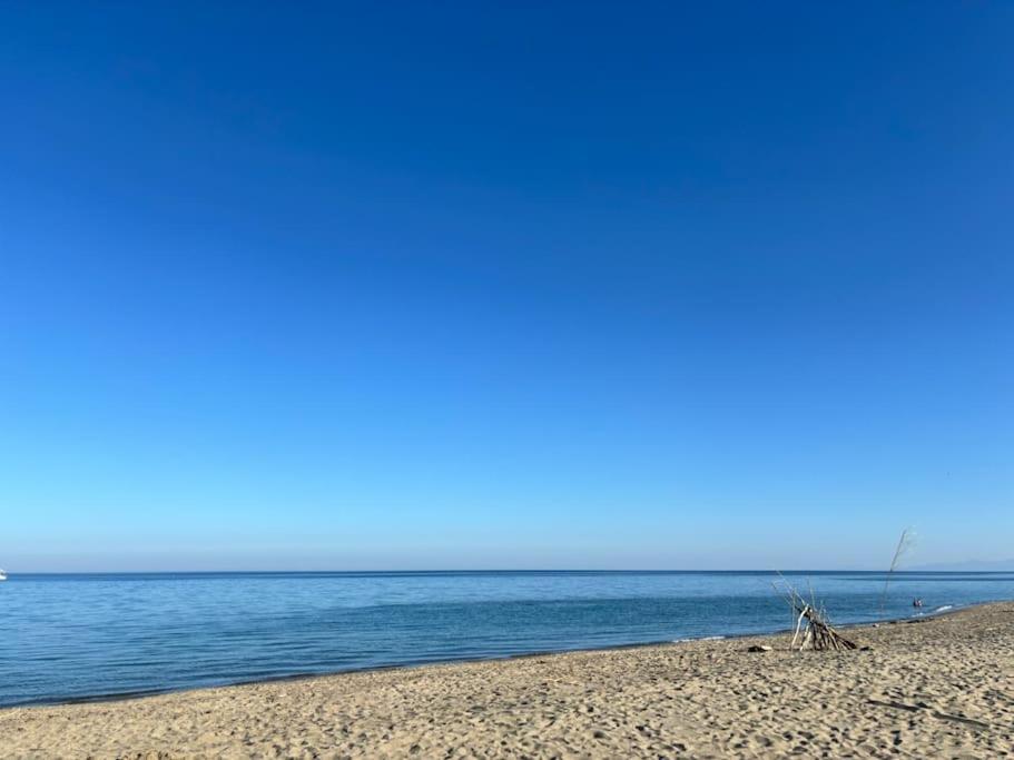 Appartement Bord De Mer Le Barcarès Zewnętrze zdjęcie